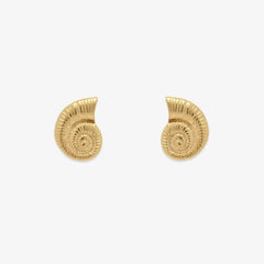 Seashell Stud Earrings