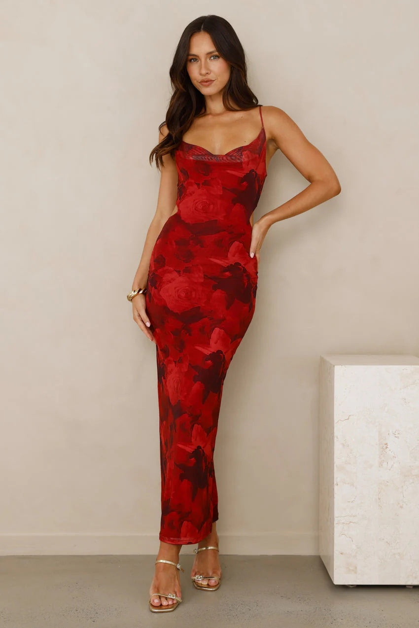 Pretty On Purpose Mesh Maxi Dress Red